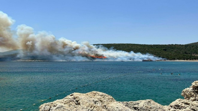 Urla'daki orman yangını şüphelileri serbest bırakıldı