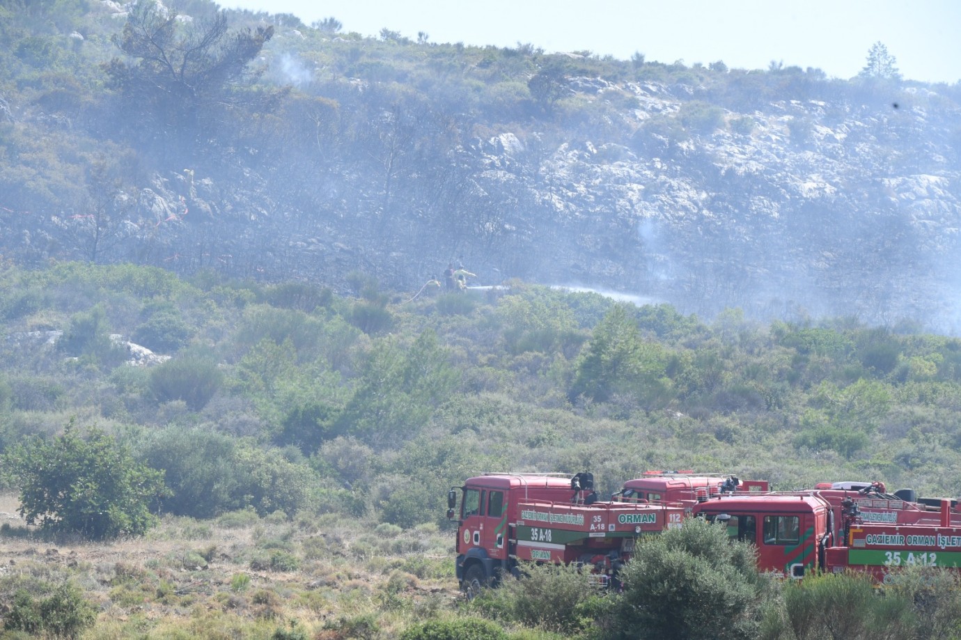 BALIKLOVA’DA ORMAN YANGINI