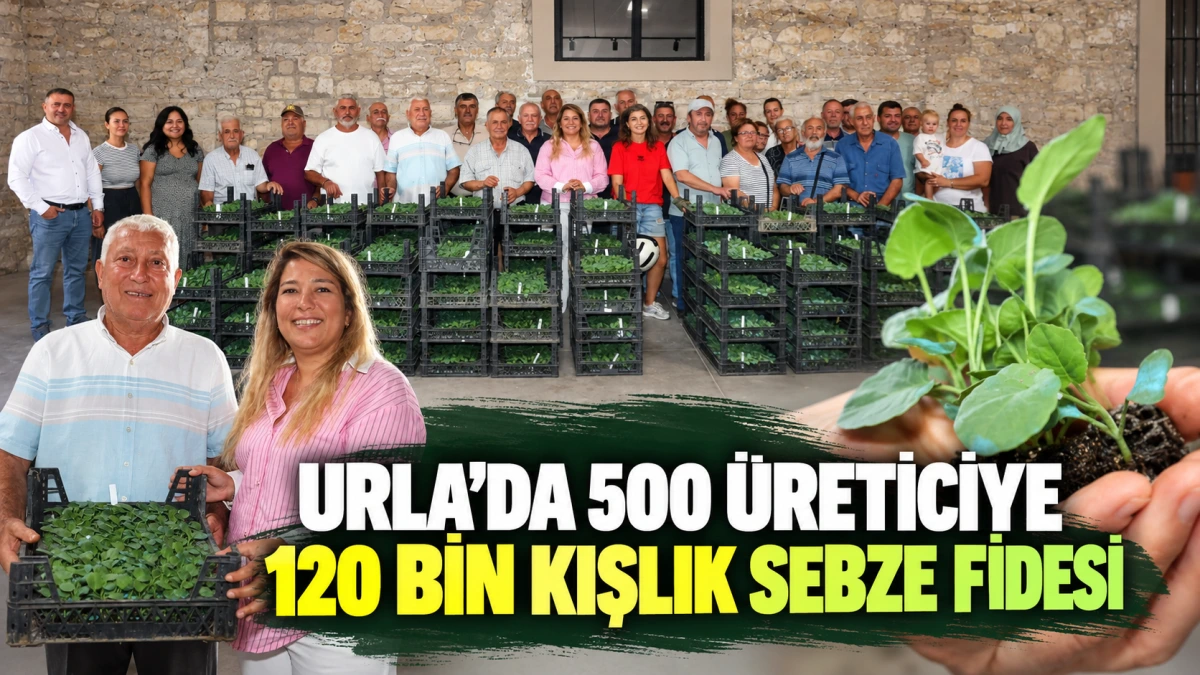 URLA’DA 500 ÜRETİCİYE 120 BİN KIŞLIK SEBZE FİDESİ