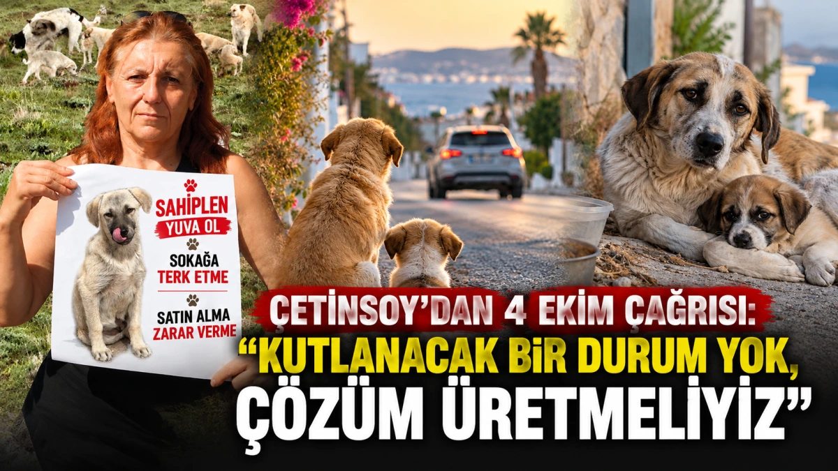 ÇETİNSOY’DAN 4 EKİM ÇAĞRISI: “KUTLANACAK BİR DURUM YOK, ÇÖZÜM ÜRETMELİYİZ”
