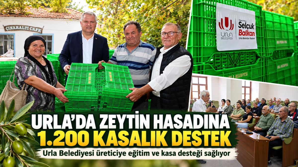 URLA’DA ZEYTİN HASADINA 1.200 KASALIK DESTEK