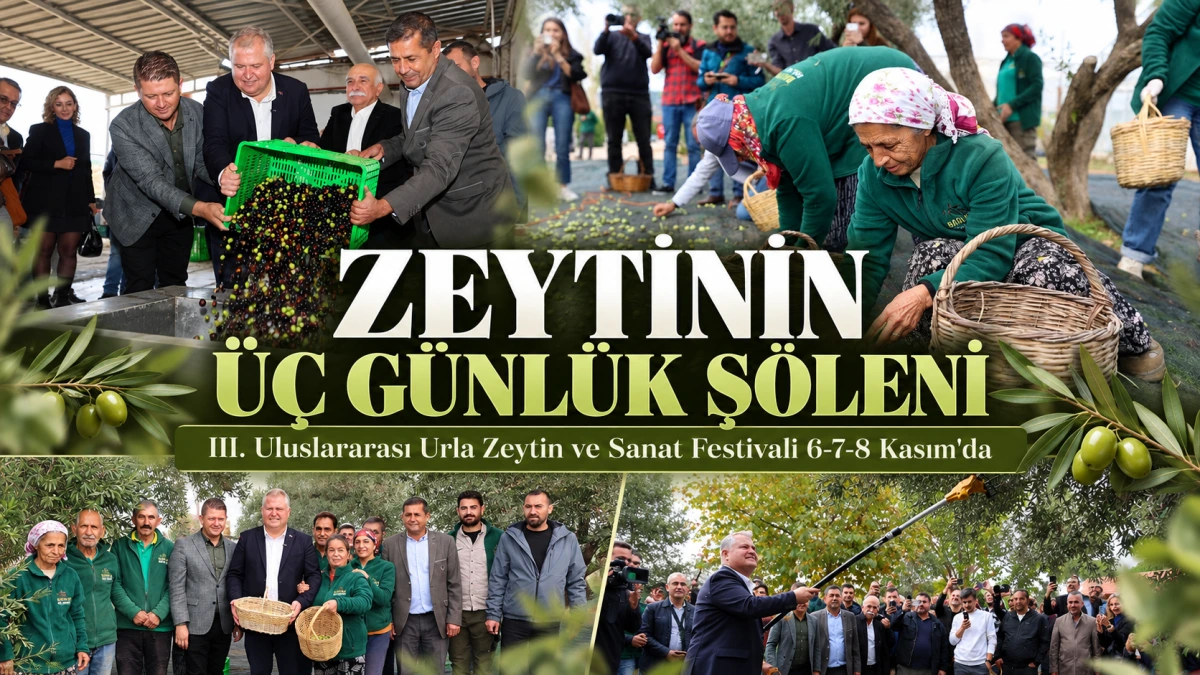 ZEYTİNİN ÜÇ GÜNLÜK ŞÖLENİ