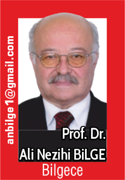 Prof. Dr. Ali Nezihi BİLGE